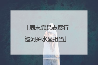 周末党员志愿行 巡河护水显担当