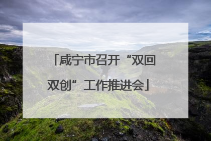 咸宁市召开“双回双创”工作推进会