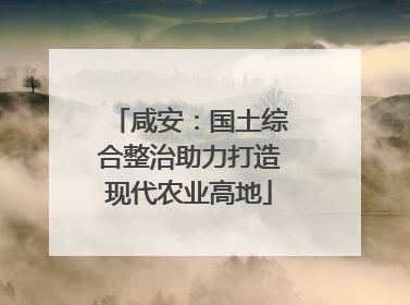 咸安：国土综合整治助力打造现代农业高地
