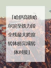 哈伊高铁哈尔滨至铁力段全线最大跨度转体桥完成转体对接