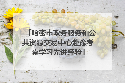 哈密市政务服务和公共资源交易中心赴豫考察学习先进经验