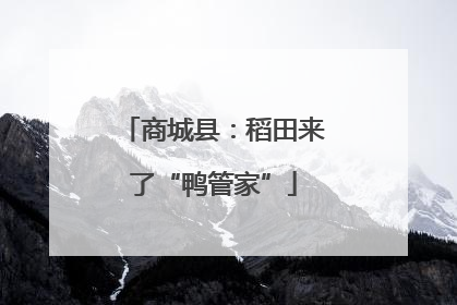 商城县：稻田来了“鸭管家”
