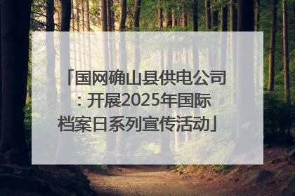 国网确山县供电公司：开展2025年国际档案日系列宣传活动