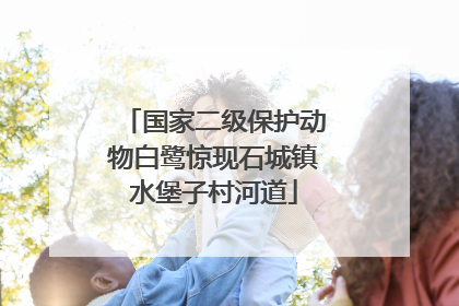 国家二级保护动物白鹭惊现石城镇水堡子村河道
