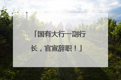 国有大行一副行长，官宣辞职！
