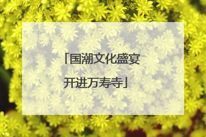 国潮文化盛宴开进万寿寺