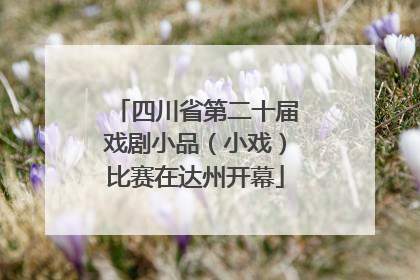 四川省第二十届戏剧小品（小戏）比赛在达州开幕