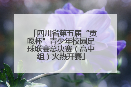 四川省第五届“贡嘎杯”青少年校园足球联赛总决赛（高中组）火热开赛