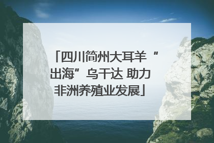 四川简州大耳羊“出海”乌干达 助力非洲养殖业发展