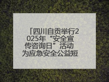 四川自贡举行2025年“安全宣传咨询日”活动 为应急安全公益短视频获奖者颁奖