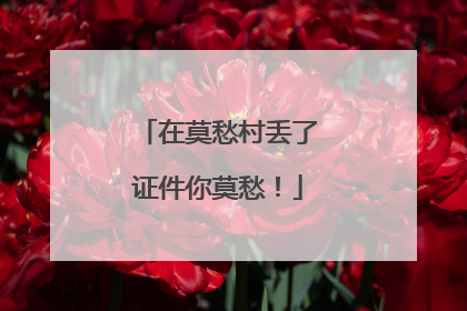 在莫愁村丢了证件你莫愁！