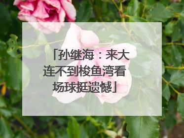 孙继海：来大连不到梭鱼湾看场球挺遗憾