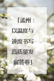 孟州：以温度与速度书写高质量发展答卷