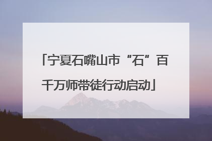 宁夏石嘴山市“石”百千万师带徒行动启动