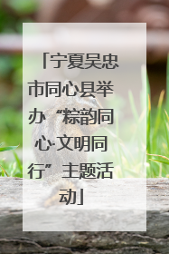 宁夏吴忠市同心县举办“粽韵同心·文明同行”主题活动