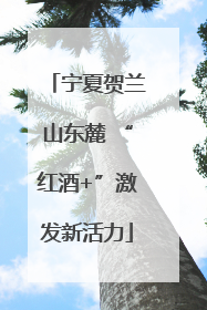 宁夏贺兰山东麓 “红酒+”激发新活力