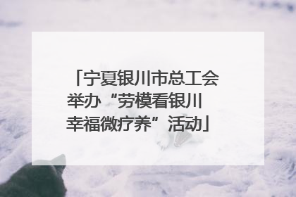 宁夏银川市总工会举办“劳模看银川 幸福微疗养”活动