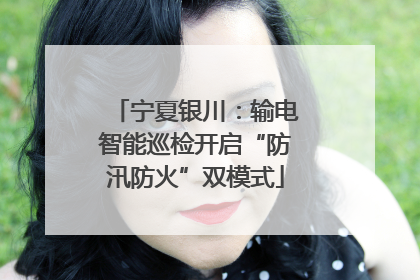 宁夏银川：输电智能巡检开启“防汛防火”双模式