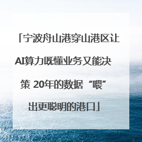 宁波舟山港穿山港区让AI算力既懂业务又能决策 20年的数据“喂”出更聪明的港口