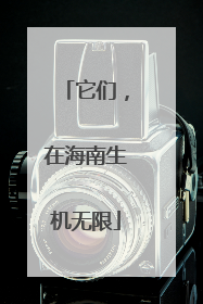 它们，在海南生机无限