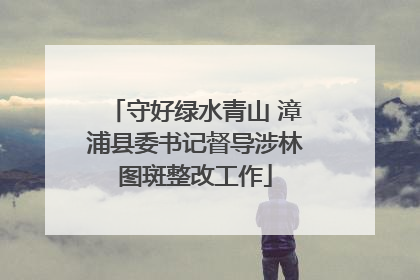 守好绿水青山 漳浦县委书记督导涉林图斑整改工作