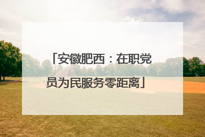 安徽肥西：在职党员为民服务零距离