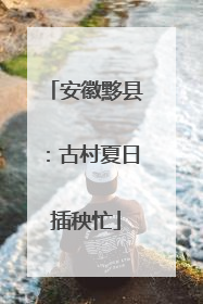 安徽黟县：古村夏日插秧忙