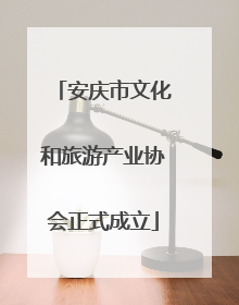 安庆市文化和旅游产业协会正式成立
