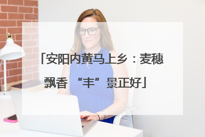 安阳内黄马上乡：麦穗飘香 “丰”景正好