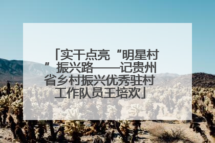 实干点亮“明星村”振兴路——记贵州省乡村振兴优秀驻村工作队员王培欢
