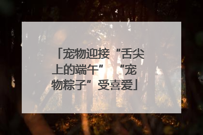 宠物迎接“舌尖上的端午” “宠物粽子”受喜爱
