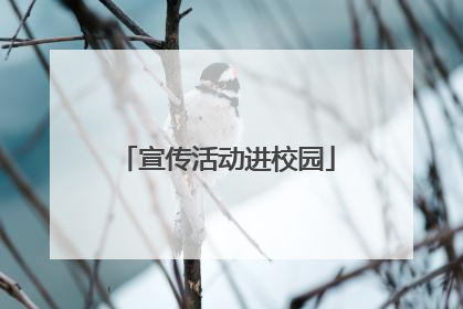 宣传活动进校园