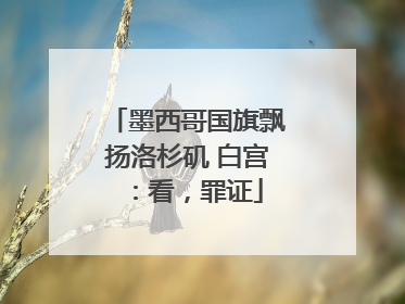 墨西哥国旗飘扬洛杉矶 白宫：看，罪证