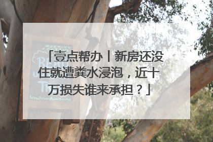 壹点帮办丨新房还没住就遭粪水浸泡，近十万损失谁来承担？