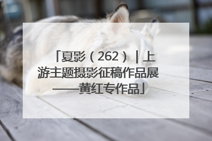 夏影（262）｜上游主题摄影征稿作品展——黄红专作品