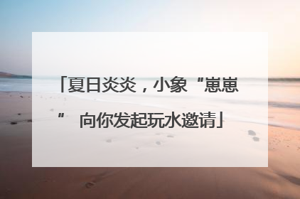夏日炎炎，小象“崽崽” 向你发起玩水邀请