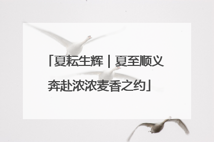 夏耘生辉｜夏至顺义奔赴浓浓麦香之约