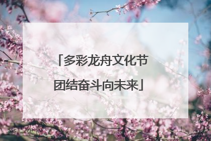 多彩龙舟文化节 团结奋斗向未来