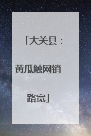大关县：黄瓜触网销路宽