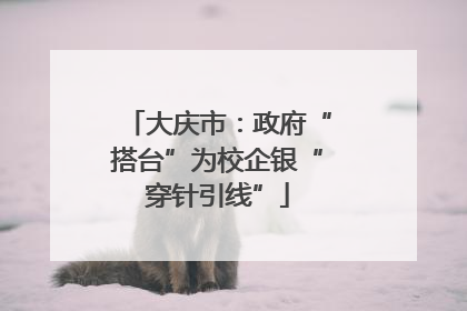 大庆市：政府“搭台”为校企银“穿针引线”