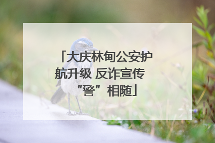 大庆林甸公安护航升级 反诈宣传“警”相随