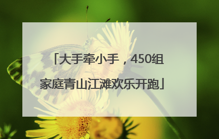 大手牵小手，450组家庭青山江滩欢乐开跑