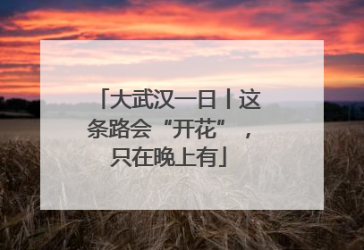 大武汉一日丨这条路会“开花”，只在晚上有