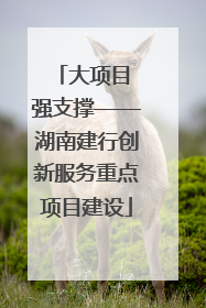 大项目 强支撑——湖南建行创新服务重点项目建设