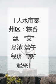 天水市秦州区：粽香飘 “艾”意浓 端午经济“热”起来