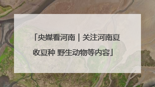央媒看河南｜关注河南夏收夏种 野生动物等内容