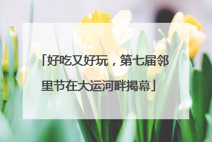 好吃又好玩，第七届邻里节在大运河畔揭幕