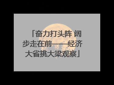 奋力打头阵 阔步走在前——经济大省挑大梁观察