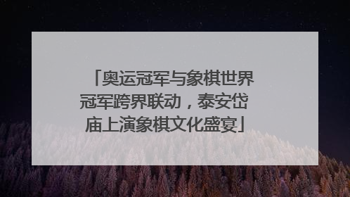 奥运冠军与象棋世界冠军跨界联动，泰安岱庙上演象棋文化盛宴