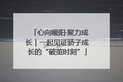 心向暖阳·聚力成长｜一起见证骄子成长的“破茧时刻”